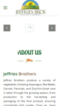Mobile Screenshot of jeffbros.com